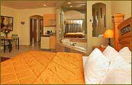 Fountain Hills, Arizona local Room Features