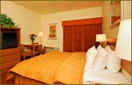 Fountain Hills, Arizona Hotel Vacation Packages